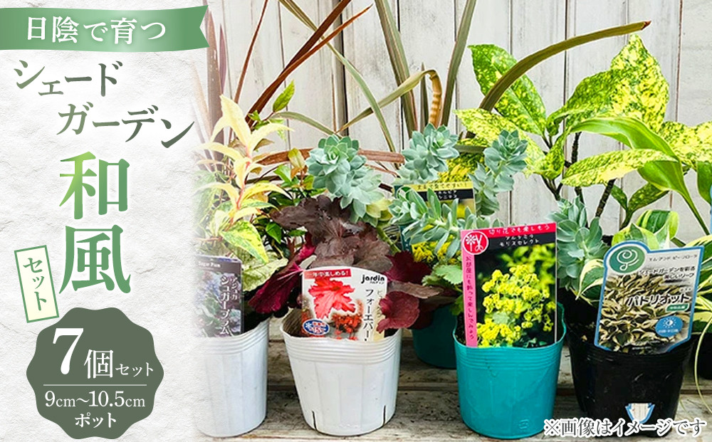 日陰で育つシェードガーデン(和風)セット