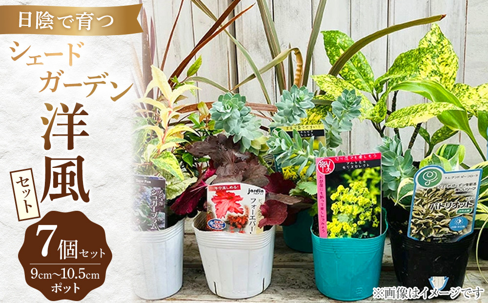 日陰で育つシェードガーデン(洋風)セット