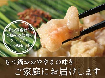 3J3 博多もつ鍋おおやま プレミアムもつ鍋セット【みそ味4人前】