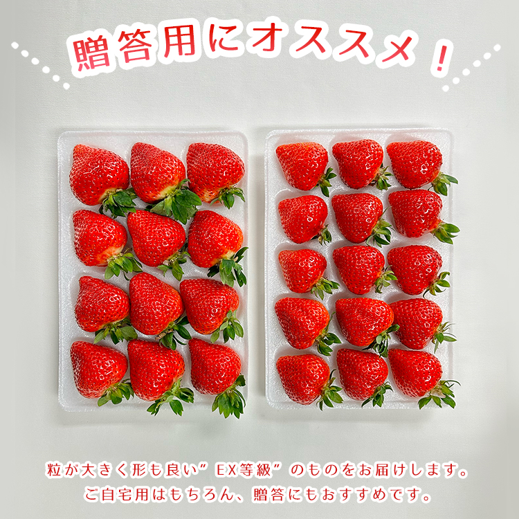 2S6 エコファーマー認定農家直送！福岡県産あまおうEXギフト【約450ｇ×2パック】