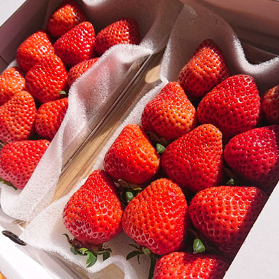 3LA1 あまおうデラックス（4パック）