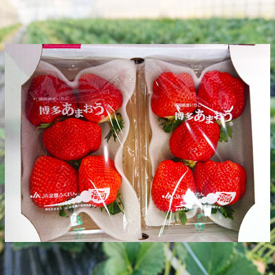 3LA2 厳選大粒あまおう（4パック）