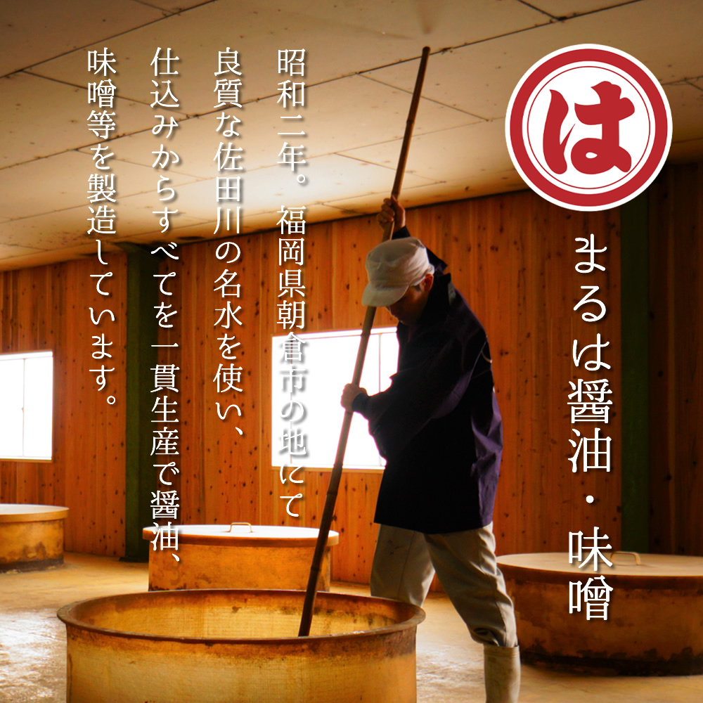 4A18-S 博多明太醤油もつ鍋セット(2～3人前)