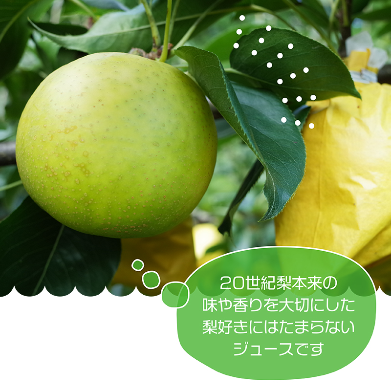 Q2 【やなファーム】二十世紀梨ジュース（710ml）2本セット