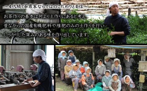 4A14 【八女茶】奥八女星野茶 高木茶園の深蒸し高級煎茶(深蒸し茶)100g×2袋