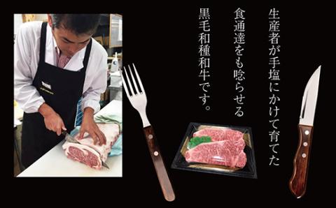 3R1 【A5A4等級】博多和牛サーロインステーキ用 約500g(2枚入)