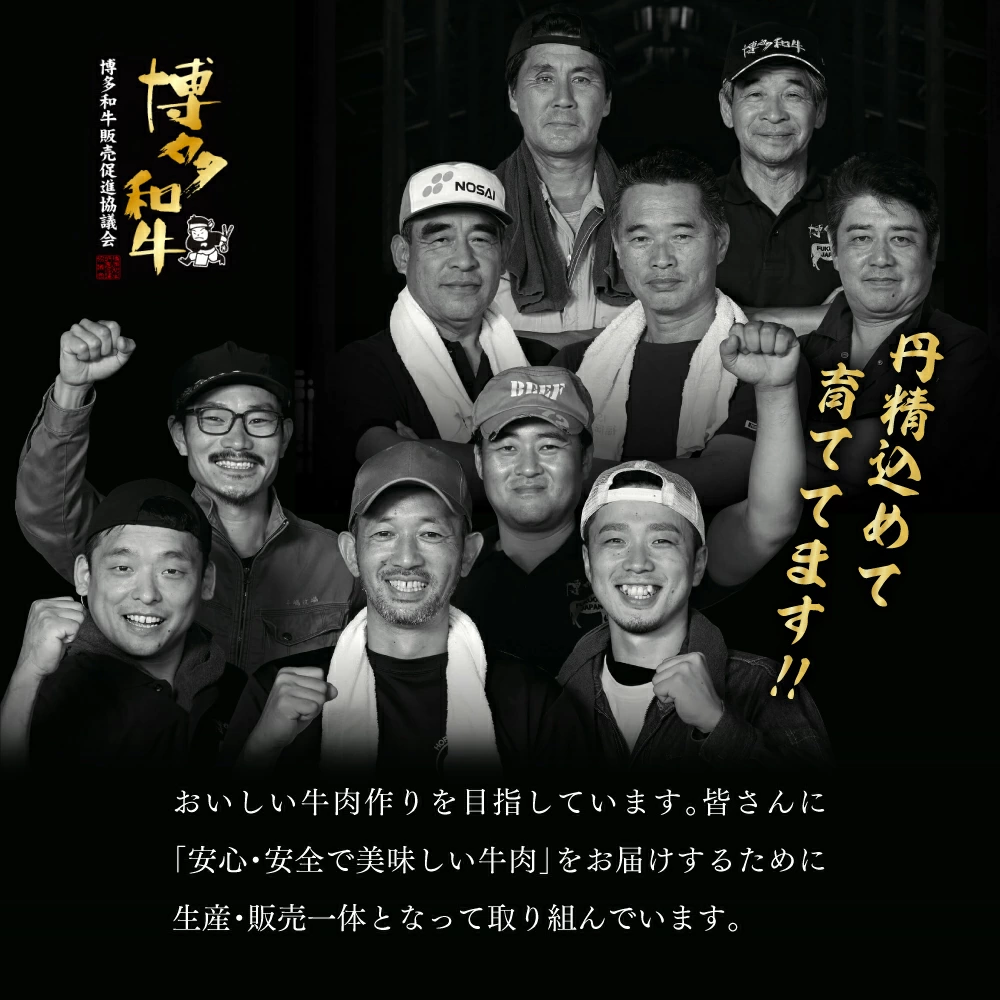 3G10-S 博多和牛サーロインステーキ　250ｇ×1枚