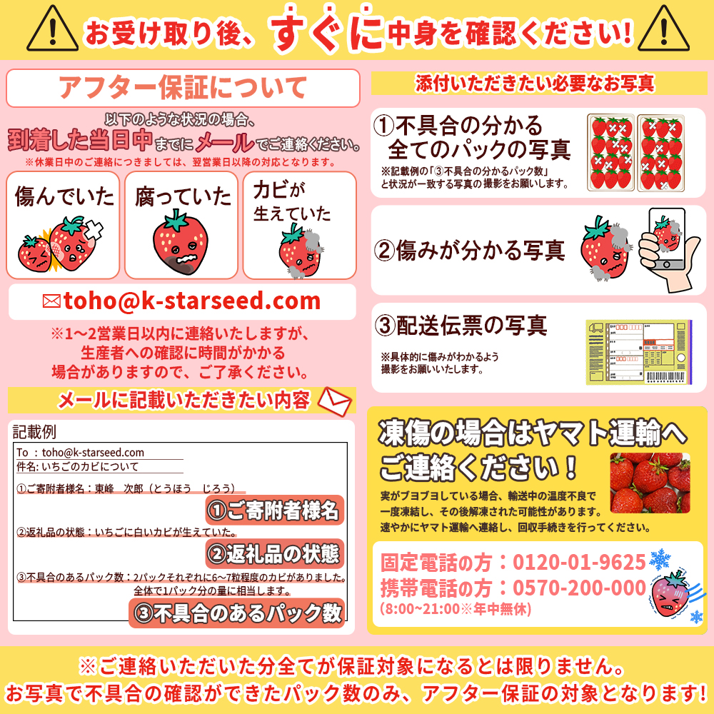 3LA2 厳選大粒あまおう（4パック）