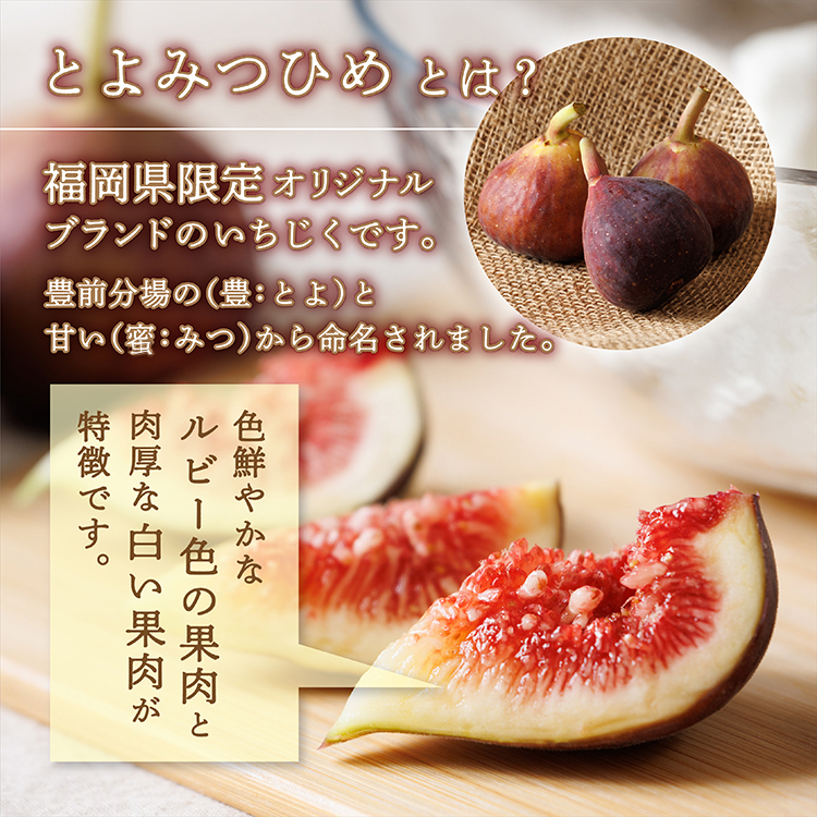 福岡県 ブランド いちじく 「 とよみつひめ 」 約 1.2kg ( 約 300g × 4パック ) イチジク 無花果 国産 フルーツ 果物 食物繊維 美容 送料無料 3S2