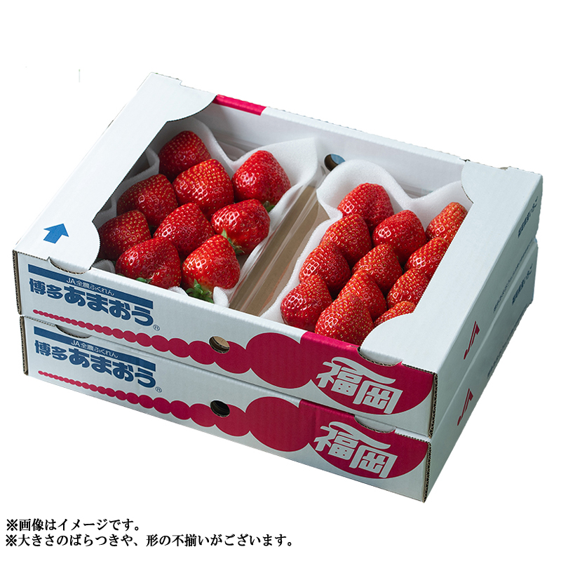 3V2 【冬】福岡産あまおう4パック