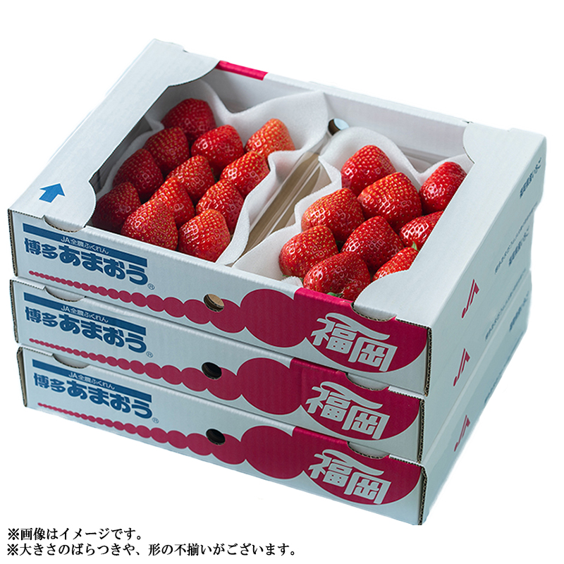 3V4 【春】福岡産あまおう6パック