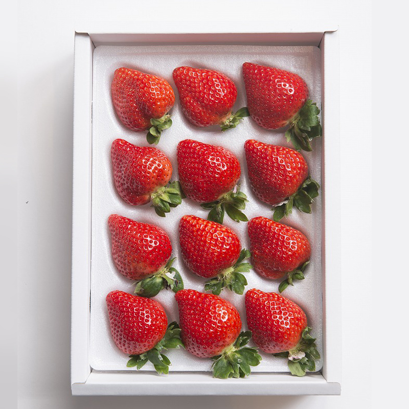 3V5 福岡産あまおうギフト箱（12-15粒）