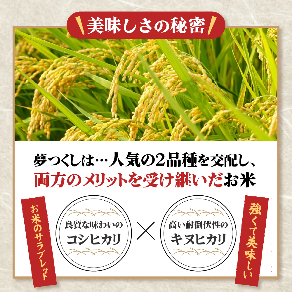 4J2 夢つくし(精米) 福岡県産ブランド米 10kg