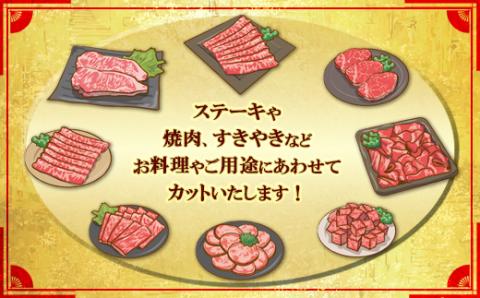 2N2 なんと＜A5等級＞博多和牛丸ごと1頭 !!