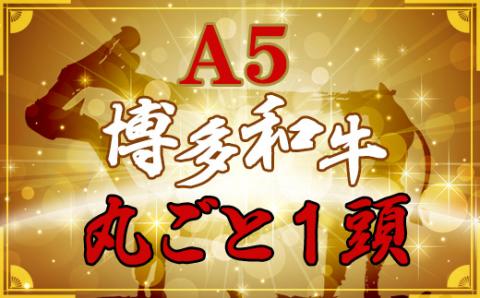 2N2 なんと＜A5等級＞博多和牛丸ごと1頭 !!