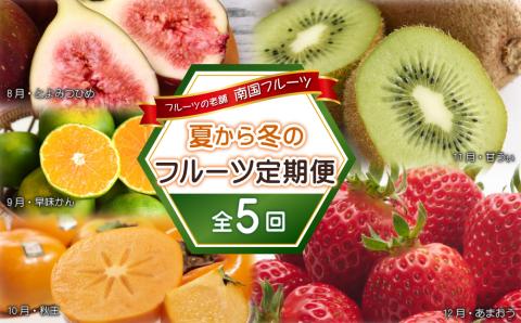 3V22 フルーツの老舗“南国フルーツ”の夏から冬のフルーツ定期便【全5回】