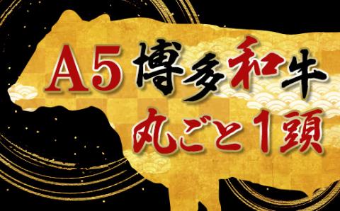 2N2 なんと＜A5等級＞博多和牛丸ごと1頭 !!