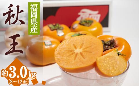 3V19 福岡限定!ブランド柿「秋王(あきおう)」約3kg(8-12玉)