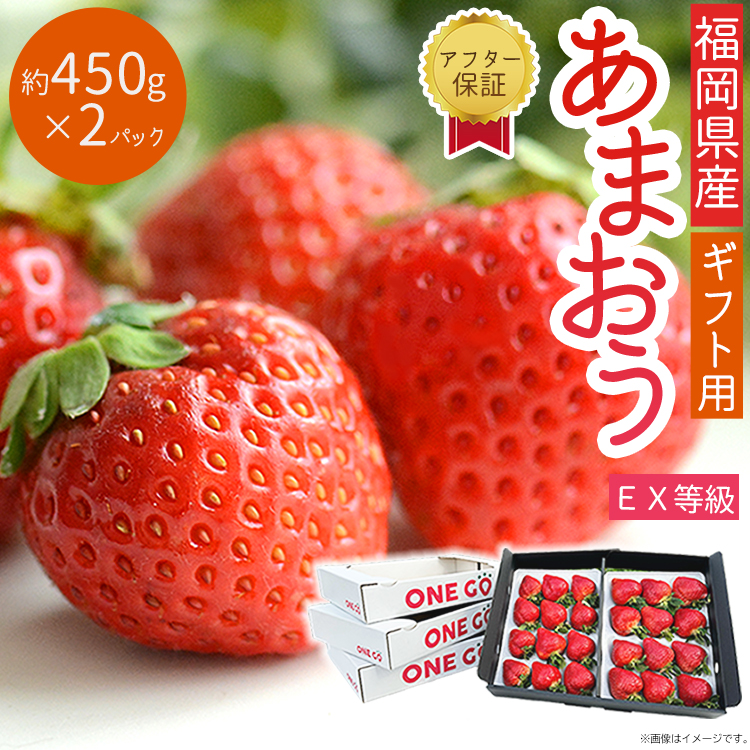 2S6 エコファーマー認定農家直送！福岡県産あまおうEXギフト【約450ｇ×2パック】