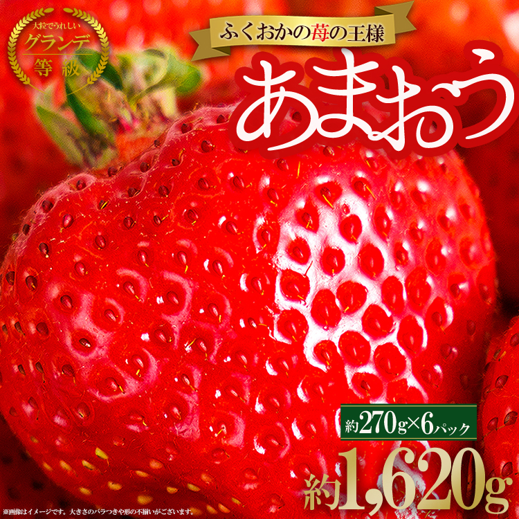 2VB6 【福岡県産あまおう】 訳あり グランデ　約270ｇ前後×6Ｐ