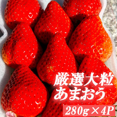 3LA2 厳選大粒あまおう（4パック）