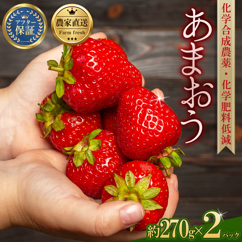 3S14-S 農家直送！特別栽培あまおう270ｇ×2パック【数量限定】