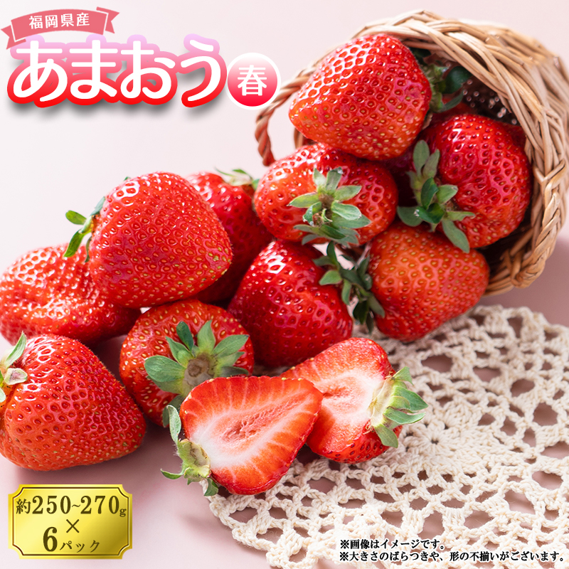 3V4 【春】福岡産あまおう6パック