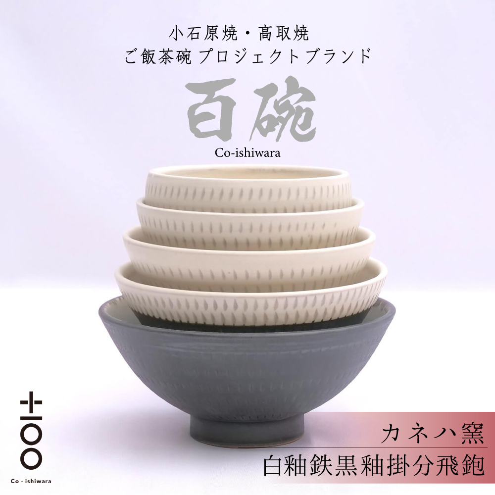 FR9 百碗 白釉鉄黒釉掛分飛鉋 (カネハ窯)