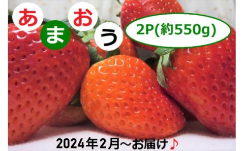 2G1[先行予約]福岡県産「あまおう」2P 〜2023年2月からお届け〜