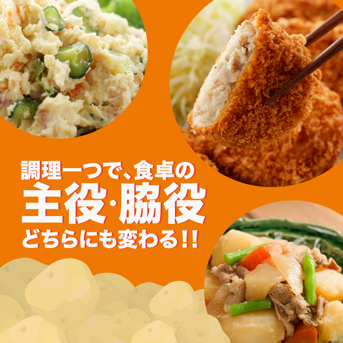 訳あり 大容量 福岡県 大刀洗町産 じゃがいも 約10kg 野菜 ジャガイモ