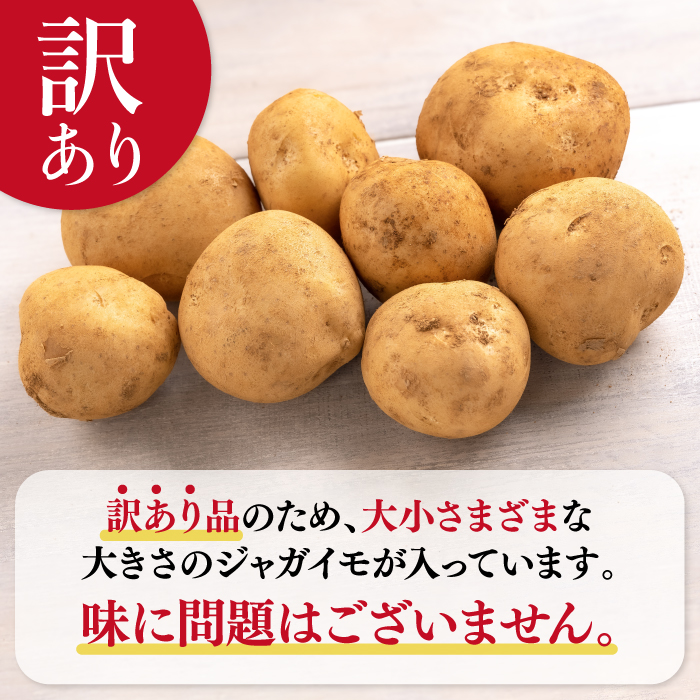 訳あり 大容量 福岡県 大刀洗町産 じゃがいも 約10kg 野菜 ジャガイモ