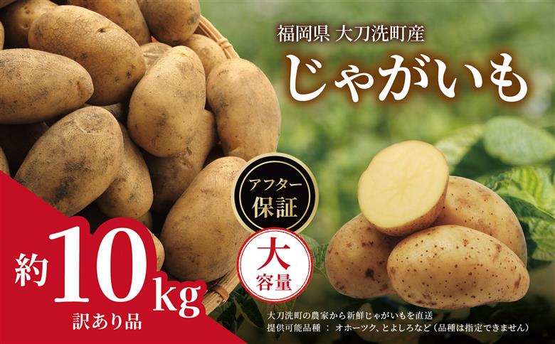 訳あり 大容量 福岡県 大刀洗町産 じゃがいも 約10kg 野菜 ジャガイモ