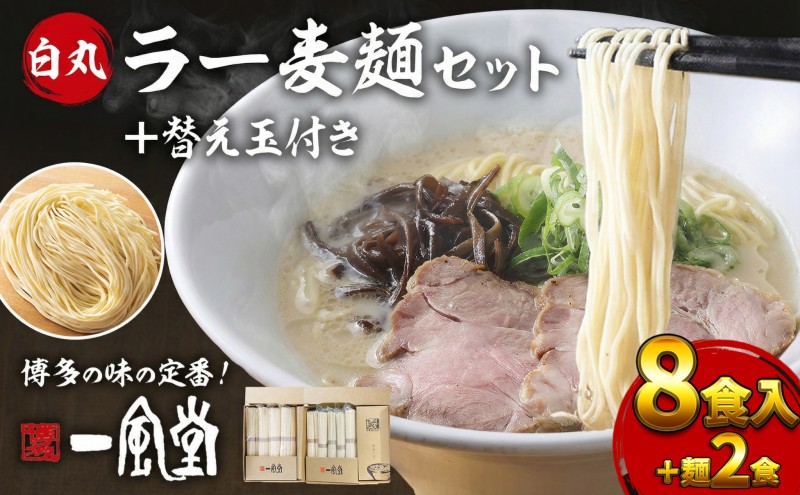 一風堂 白丸 ラー麦麺セット 8食入＋麺2食 期間限定 替え玉2食付 豚骨ラーメン ラーメン とんこつ