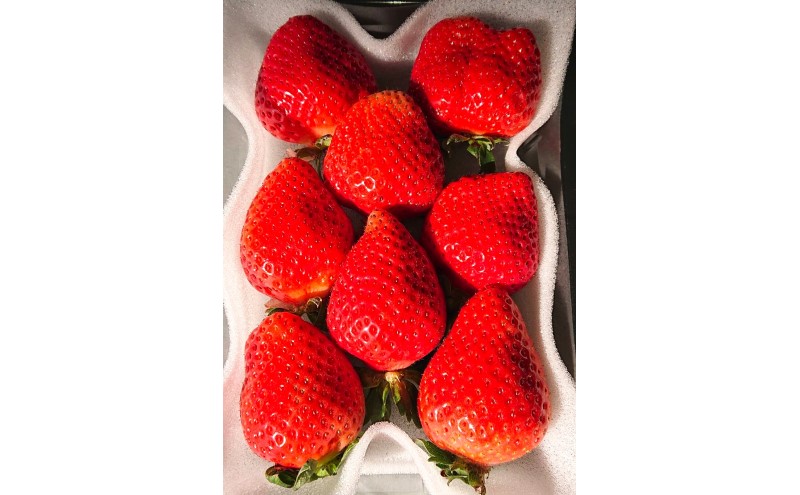 あまおう 【2026年3月上旬より順次発送】春のあまおう(2L・2A・G規格以上 4パック) イチゴ 苺 いちご 果物 福岡県産 ※配送不可:離島