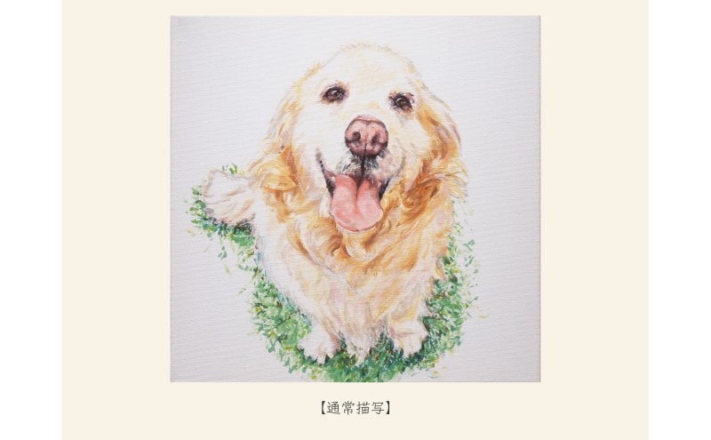 油絵で大切なペットを描きます（41×32cm・背景無地）