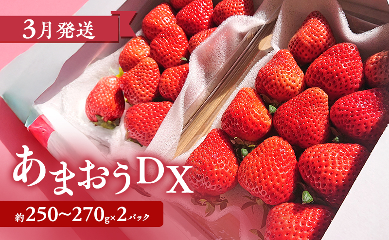 【2026年3月上旬より発送開始】【予約受付・3回定期便】あまおう贅沢セットNo.2 ※配送不可：北海道・沖縄県・離島