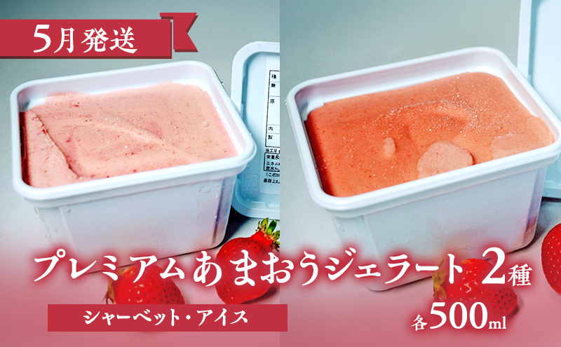 【2026年2月上旬より発送開始】【予約受付・4回定期便】あまおう大好き定期便 ※配送不可：北海道・沖縄県・離島