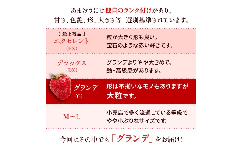 苺 福岡県産 あまおう 500g（2パック）先行予約 発送予定：2025年12月より順次発送 いちご イチゴ 果物 ※配送不可:離島