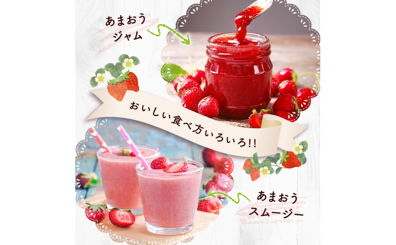 苺 福岡県産 あまおう 500g（2パック）先行予約 発送予定：2025年12月より順次発送 いちご イチゴ 果物 ※配送不可:離島