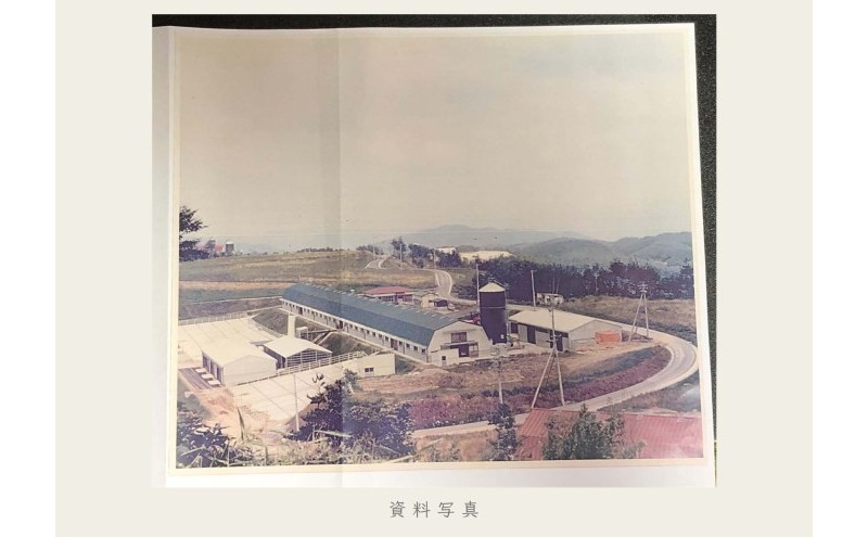 油絵で高級感のある風景画を描きます（41×32cm）