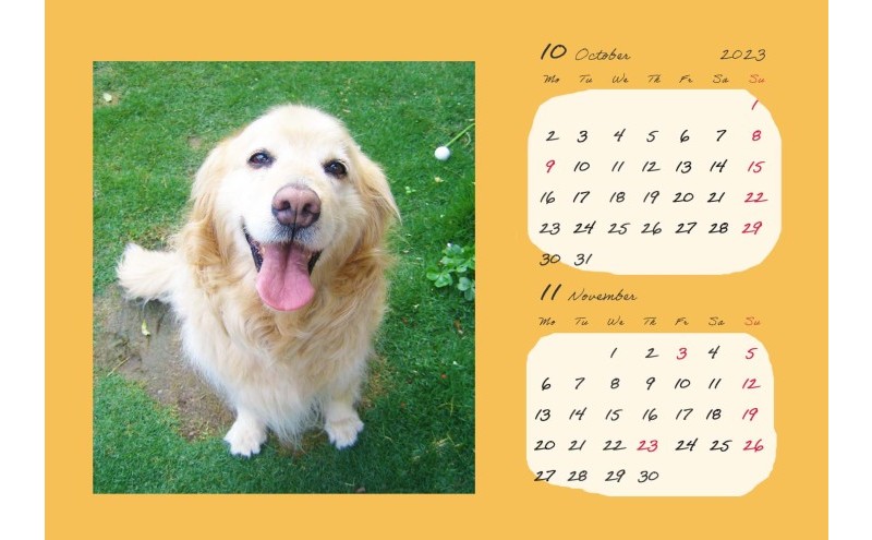 オリジナルカレンダーをデザインします（オリジナルのデザイン・表紙＋6ページ（1ページに2ヶ月記載））