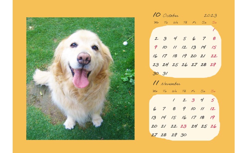 オリジナルカレンダーをデザイン・印刷します（オリジナルのデザイン・表紙＋6ページ（1ページに2ヶ月記載））