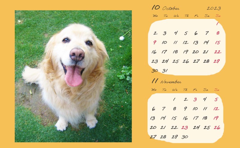 オリジナルカレンダーをデザインします（オリジナルのデザイン・卓上カレンダー）