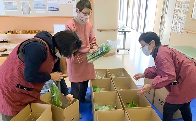 【定期便 年3回】おいしかぁ～便 詰め合わせセット 3ヶ月 お楽しみ ファミリーセット 家族用 野菜 やさい 米 新鮮 新鮮野菜 家庭用 新鮮 福岡県 大刀洗町
