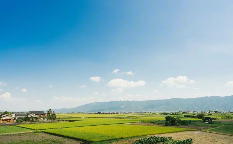 定期便 12回 吉野家 牛すい 20袋 フリーズドライ 常温保存 食品 牛肉 インスタント 常温 非常食 保存食 災害 防災 備蓄 ローリングストック 非常用 備蓄用
