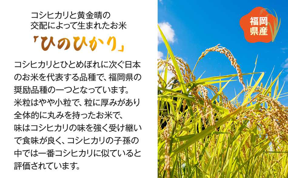 【令和5年産】 福岡県 大木町産 ヒノヒカリ 20kg　BC04