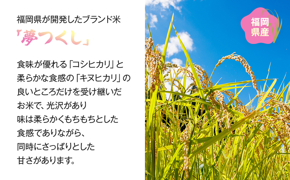 【令和5年産】 福岡県 大木町産 夢つくし 20kg　BC06