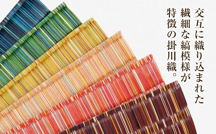 純国産天然いぐさ 「掛川織」 フリーマット 大 （緑色） 純