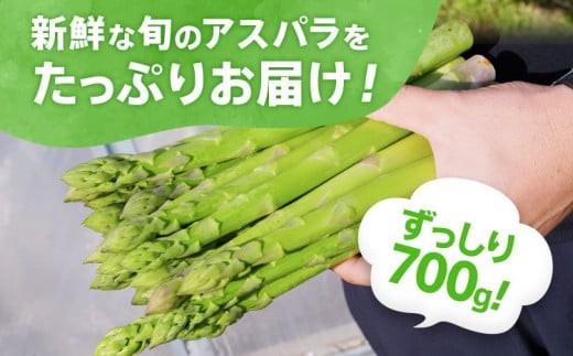 数量限定 先行予約 アスパラ 3Lサイズ 700g 春芽　朝採り 朝採れ 直送 グリーンアスパラガス アスパラ 【2月～4月お届け】 BT01 春芽【2月～4月お届け】