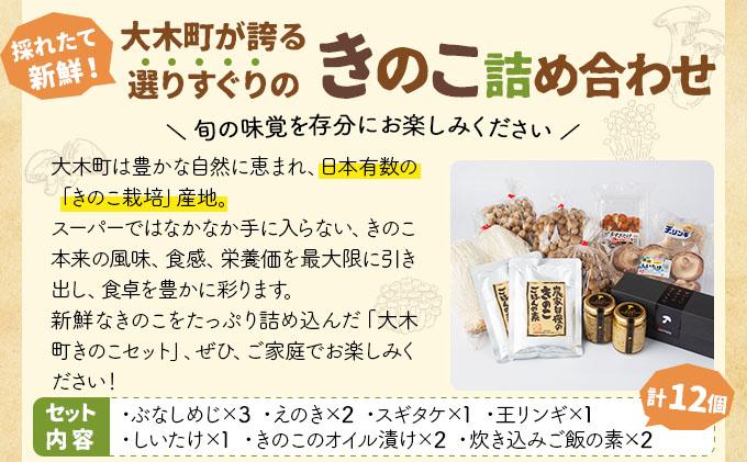 大木町きのこ食べつくしセット AZ03